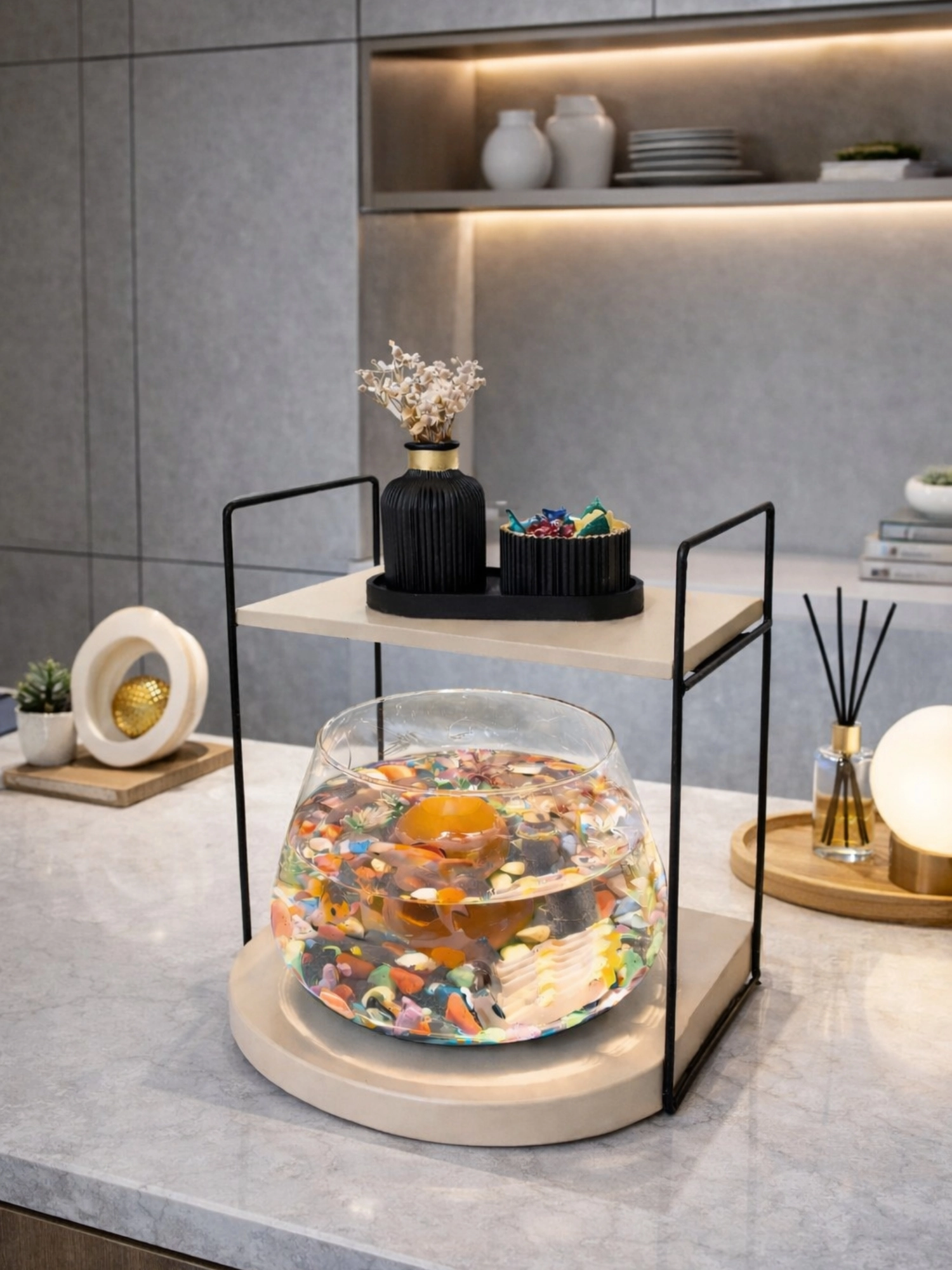 Özel Tasarım Cam Fanus Beta Balığı için Dekoratif Akvaryum & Fanus Seti