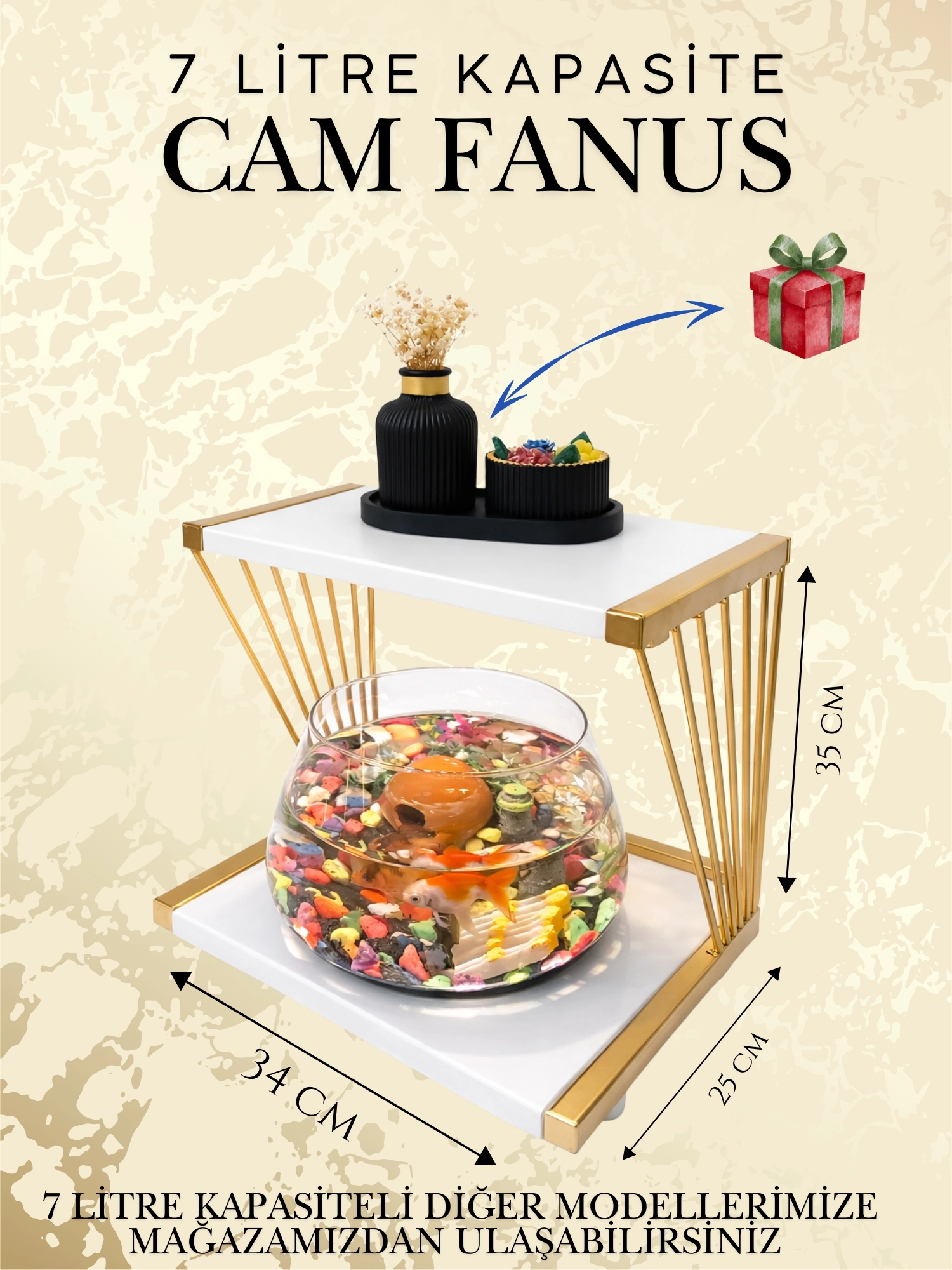 Özel Tasarım Cam Fanus Beta Balığı ile Dekoratif Akvaryum & Fanus Seti