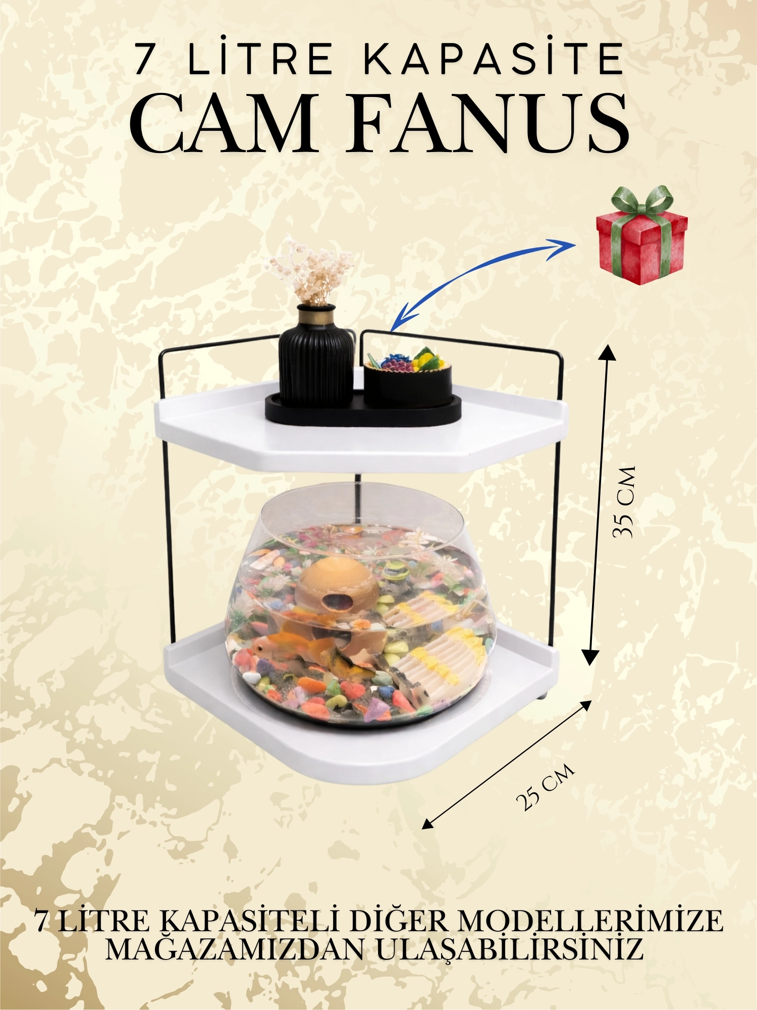 Cam Tasarımlı Led Işıklı Beta Fanusu, Dekoratif Masaüstü Akvaryum