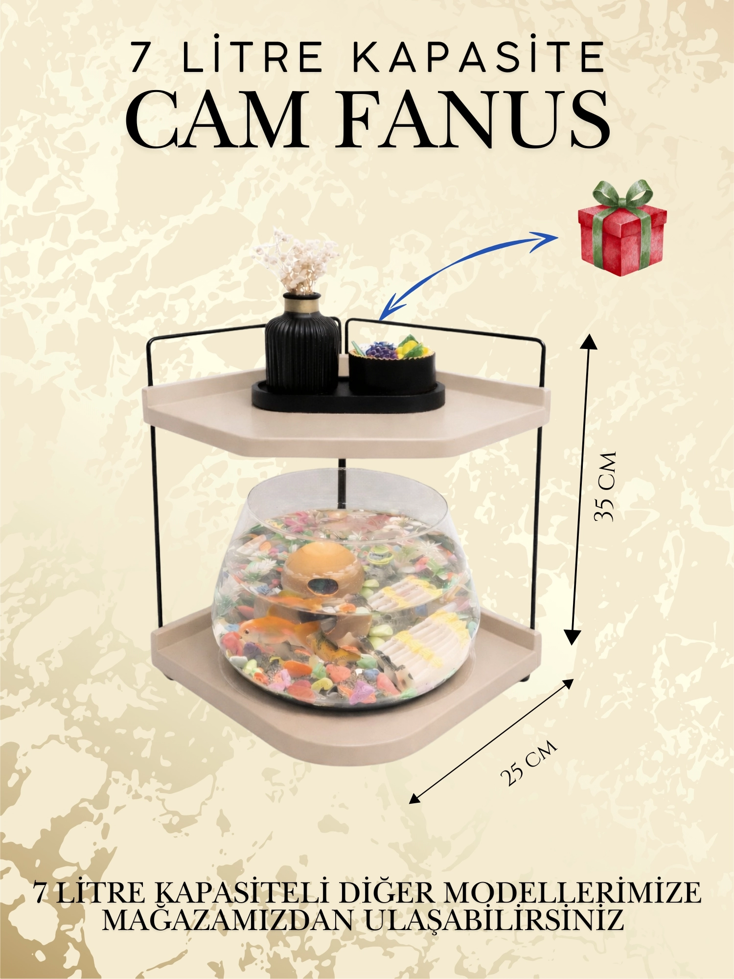  Led Işıklı Modern Cam Beta Akvaryumu, Masaüstü Dekoratif Fanus