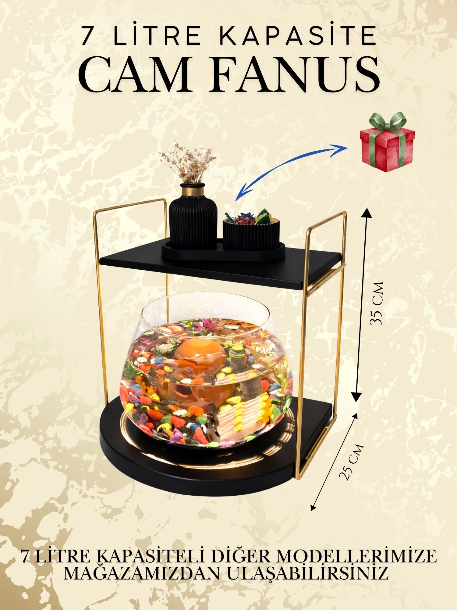 Şık ve Sofistike Tasarımlı Cam Fanus Beta Balığı Akvaryum Seti