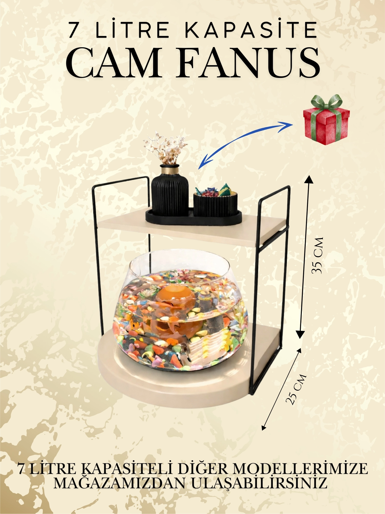 Özel Tasarım Cam Fanus Beta Balığı için Dekoratif Akvaryum & Fanus Seti