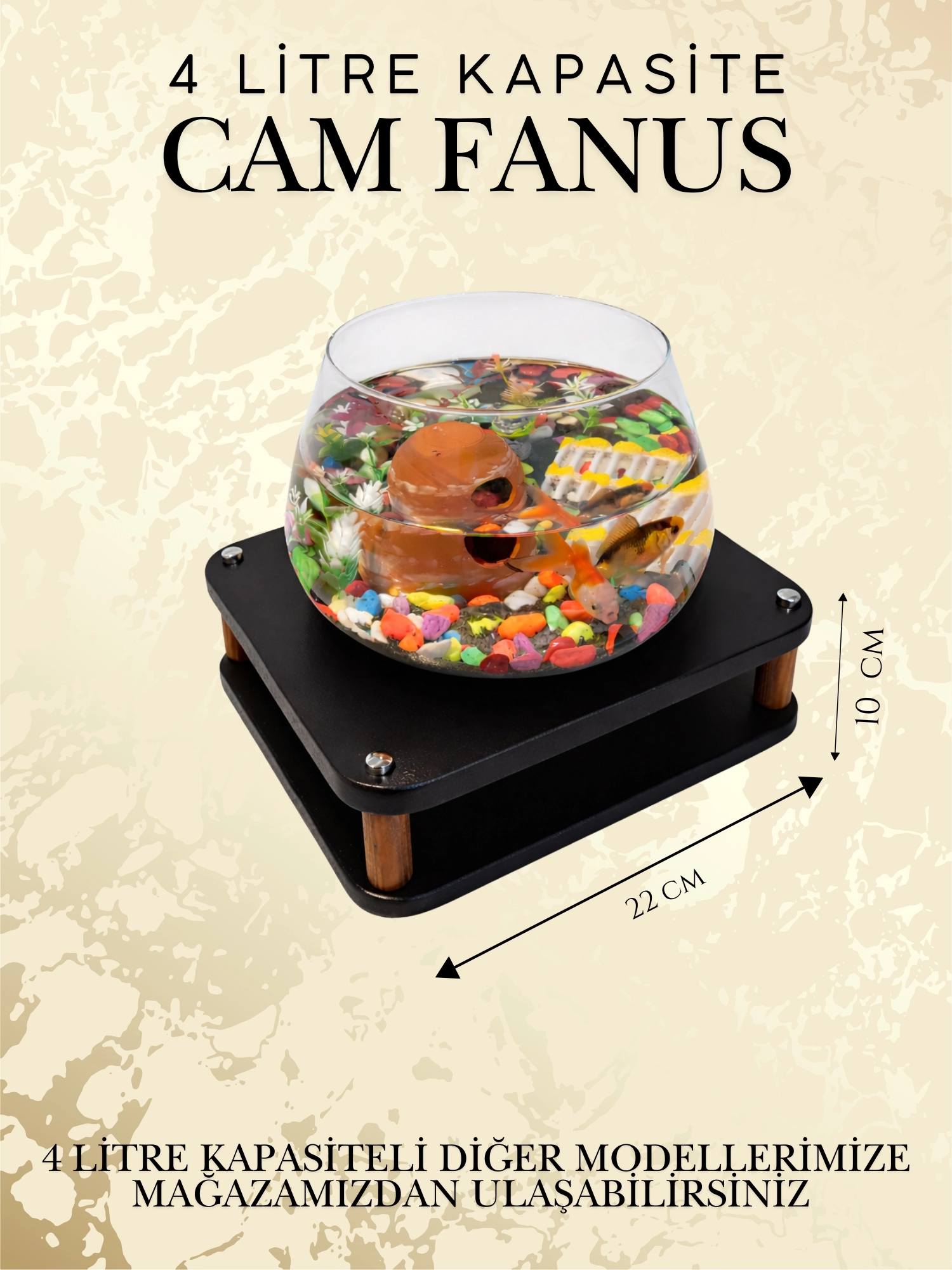 Beta Akvaryum Lüks Cam Fanus Akvaryum Premium Balık Fanusu Modern Masa Üstü Dekor