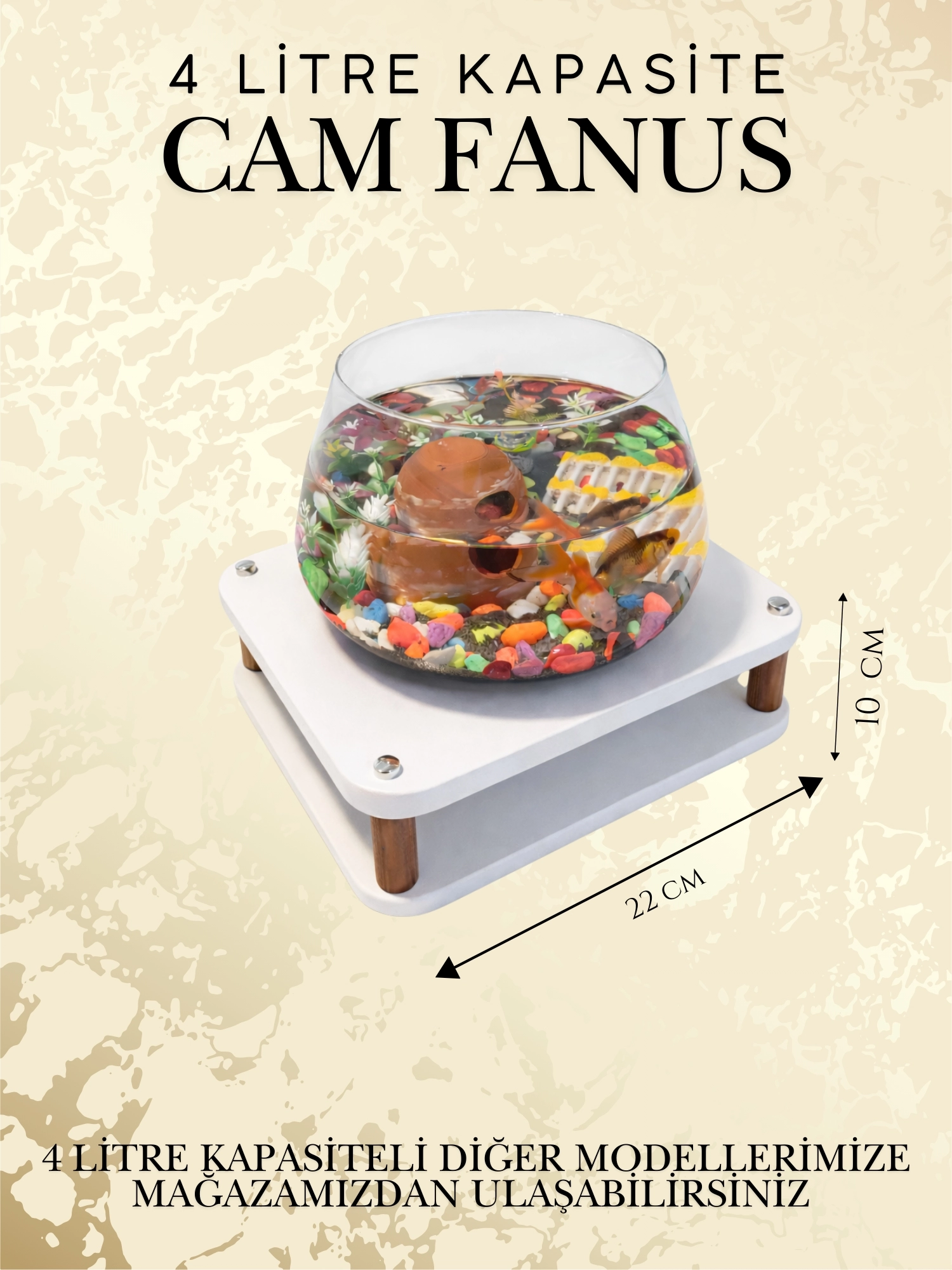 Beta Akvaryum Cam Fanus Dekoratif Hediyelik Modern Şık Ev Ofis Masa Aksesuar Akvaryum