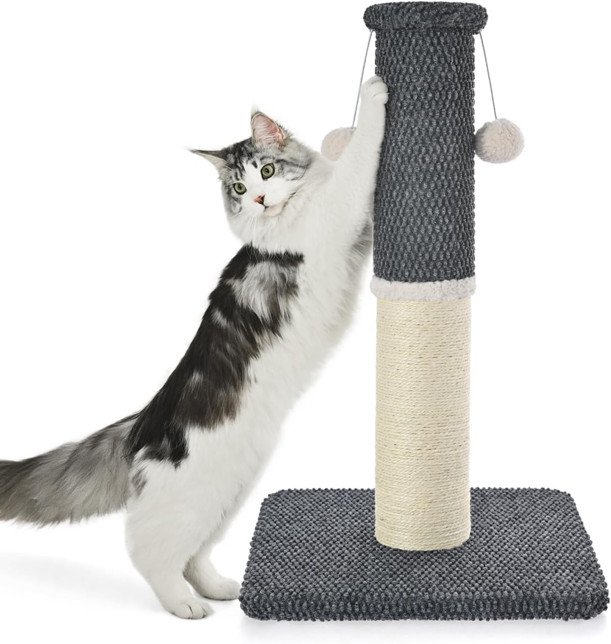  Kedi Tırmalama Direkleri Yetişkin Kediler İçin Tırmalama Direği