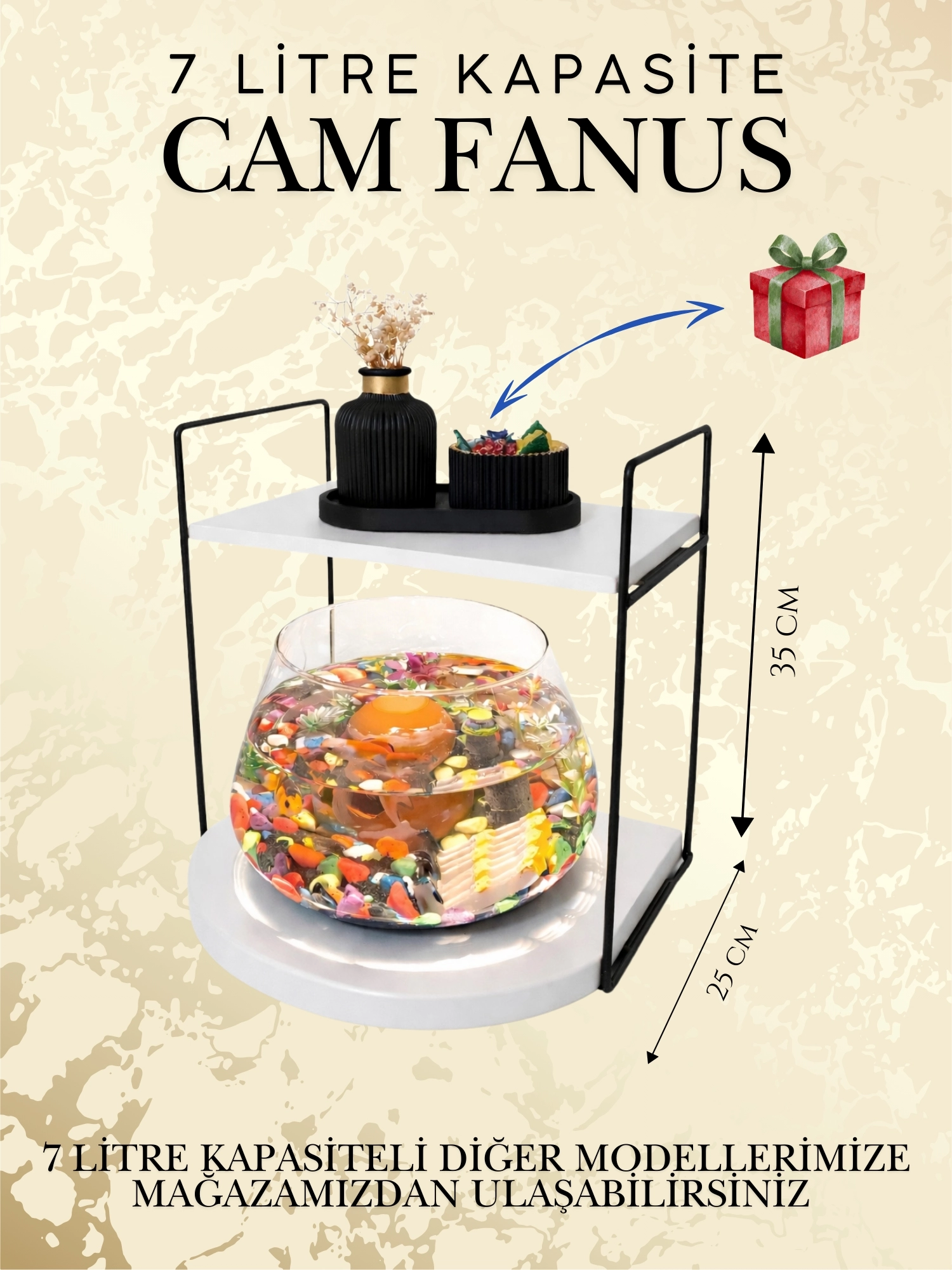 Zarif ve Premium Cam Fanus İçinde Beta Balığı Akvaryum & Fanus Standı