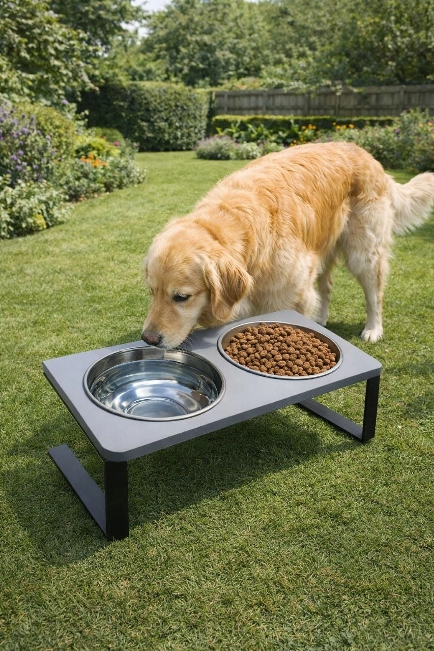 Büyük Köpekler İçin %10 Eğimli Mama Kabı Çift Hazneli Dayanıklı, Modern Paslanmaz Çelik Su Mama Kabı