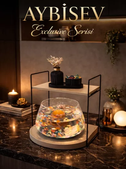 Özel Tasarım Cam Fanus Beta Balığı için Dekoratif Akvaryum & Fanus Seti