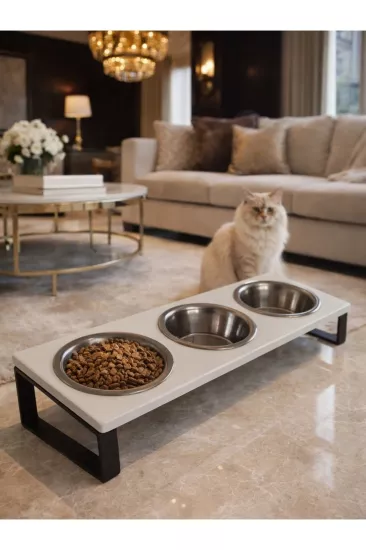 Yükseltilmiş Kedi Kaseleri 3Paslanmaz Çelik Kase ile Küçük Kediler ve Yavru Köpekler İçin 10° Eğimli