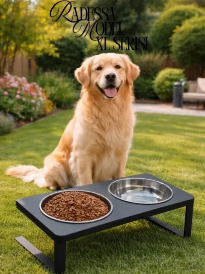 Büyük ve Orta Boy Köpekler için %10 Eğimli Mama Kabı Çift Hazneli Su ve Mama Kabı Standı
