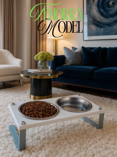 Kedi ve Köpekler İçin Mama ve Su Standı - Yüzde 10 Eğimli, Yüksek Kalite ve Sağlıklı Tasarım