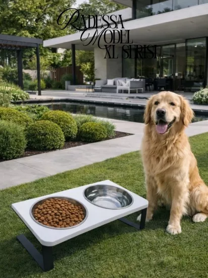 Kedi Köpek İçin %10 Eğimli Yerden Yüksek İkili Mama Kabı Su Kabı Standı Paslanmaz Çelik Hazneli