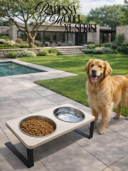 Büyük Boy Köpek için %10 Eğimli Mama Kabı Yüksek Standlı Çift Hazneli Su ve Mama Kabı
