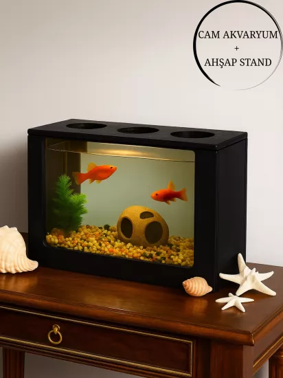 Beta Akvaryum Ahşap Hediyelik Balık Akvaryumu Şık ve Dayanıklı Modern Doğal Ahşap Tasarım Hediyelik